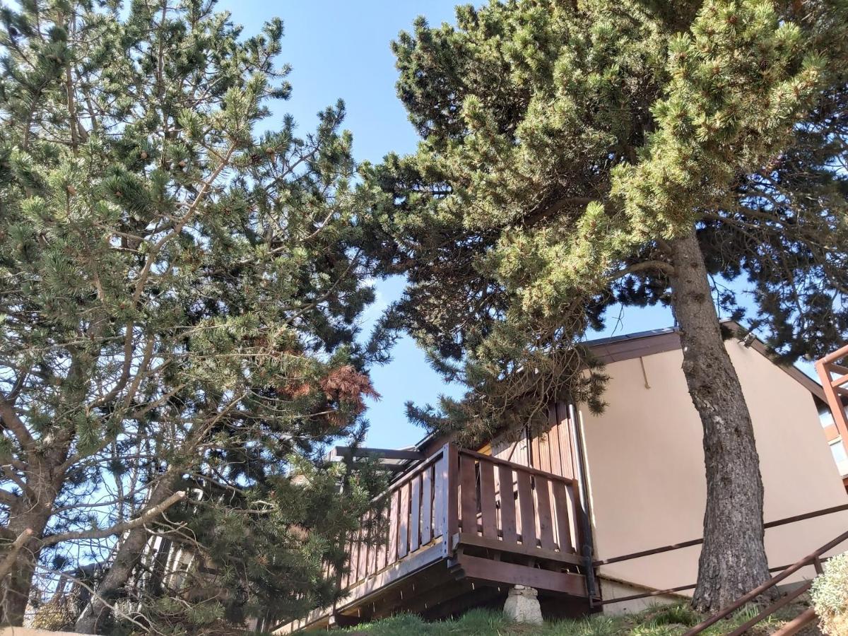 Chalet De L Ours Bolquere Pyrenees 2000 Buitenkant foto